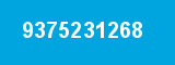 9375231268