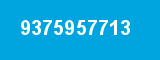 9375957713