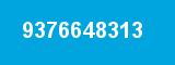 9376648313