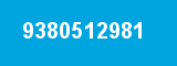 9380512981