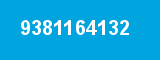 9381164132