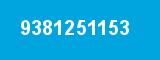 9381251153