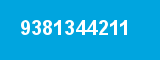9381344211