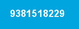 9381518229