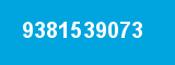 9381539073
