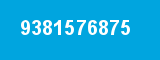 9381576875