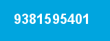 9381595401