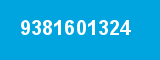 9381601324