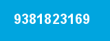9381823169