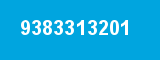 9383313201