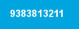 9383813211