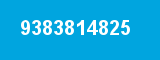 9383814825