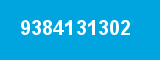 9384131302