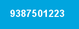 9387501223
