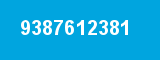 9387612381