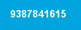 9387841615