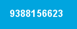 9388156623