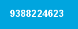 9388224623