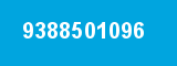 9388501096