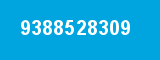 9388528309