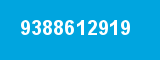 9388612919
