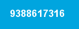 9388617316