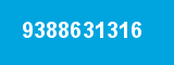 9388631316