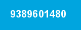 9389601480
