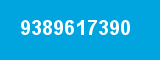 9389617390