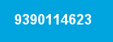 9390114623