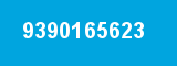 9390165623 9390165623