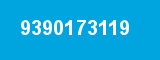 9390173119