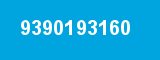 9390193160