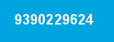 9390229624