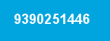 9390251446