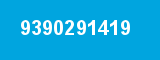 9390291419 9390291419