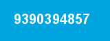 9390394857