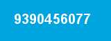 9390456077