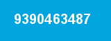 9390463487