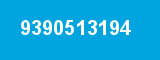 9390513194