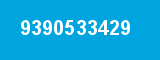 9390533429 9390533429