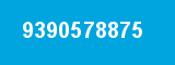 9390578875