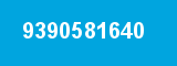 9390581640