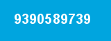 9390589739