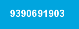 9390691903