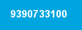 9390733100