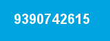 9390742615