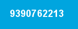 9390762213