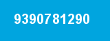 9390781290