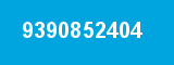 9390852404